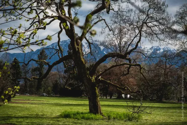 Chaplin s world lake view